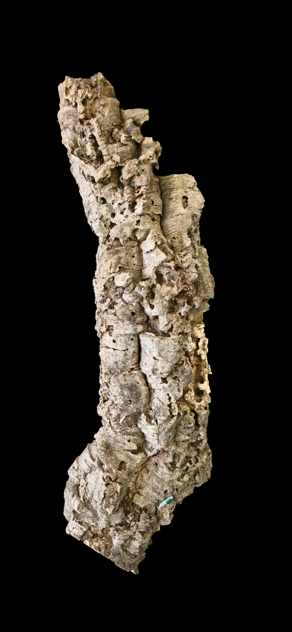 Tube de liège 65.4 cm