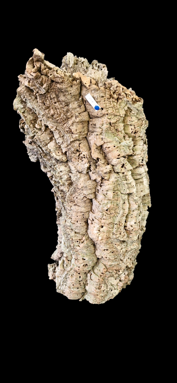 Tube de liège tiens seul debout 56 cm