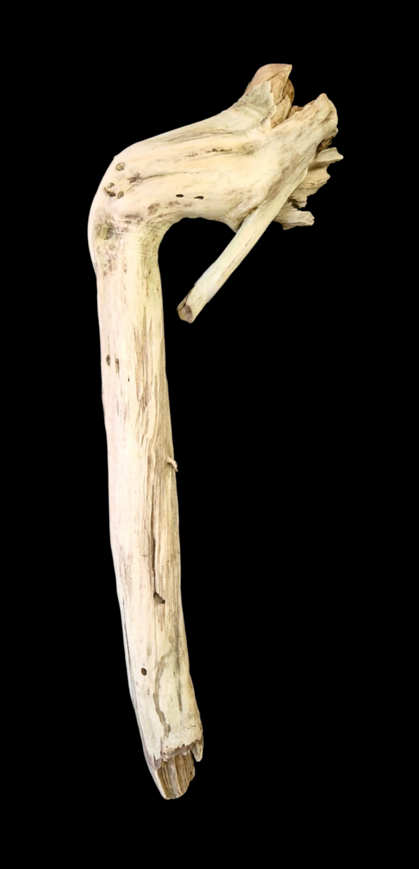 Bois flotté original 70.1 cm