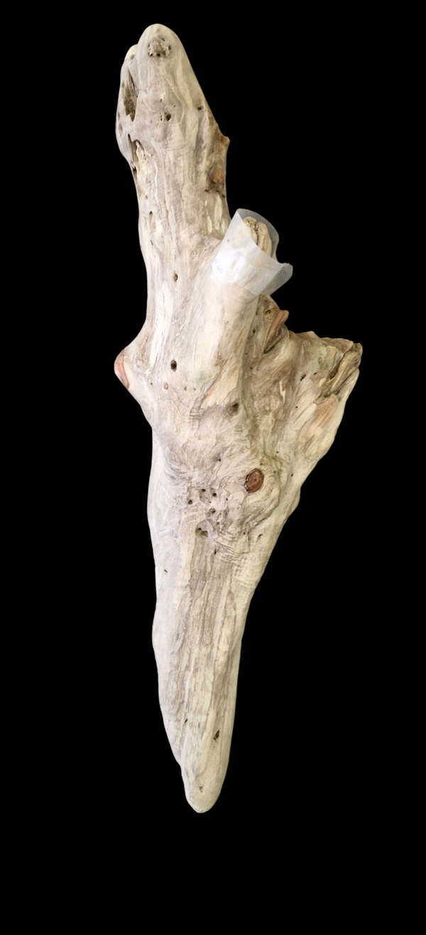 Bois flotté 60.8 cm