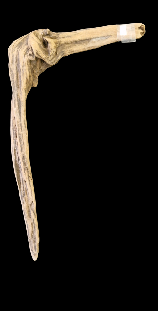 Bois flotté 50.7 cm