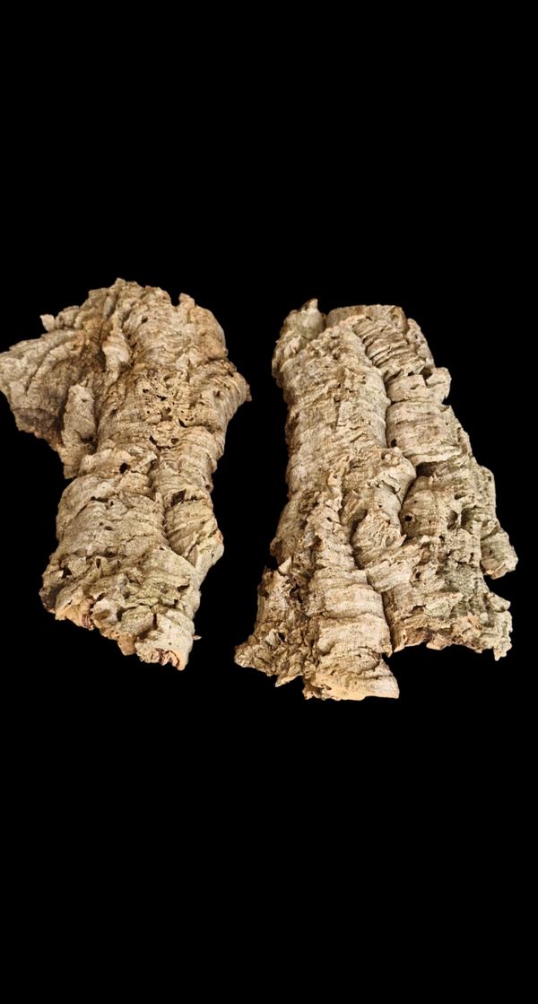 Lot de 2 écorces de liège 30.2 cm à 31 cm