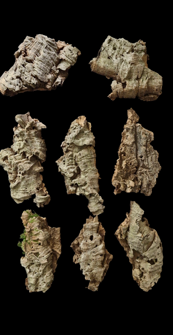 Lot de 8 écorce de liège 21 cm à 14.5 cm