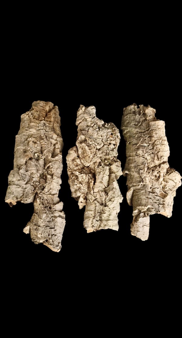 Lot de 3 écorces de liège 30.2 cm à 24.5 cm