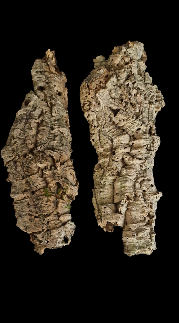 Lot de 2 écorces de liège 40.5 cm à 39.5 cm