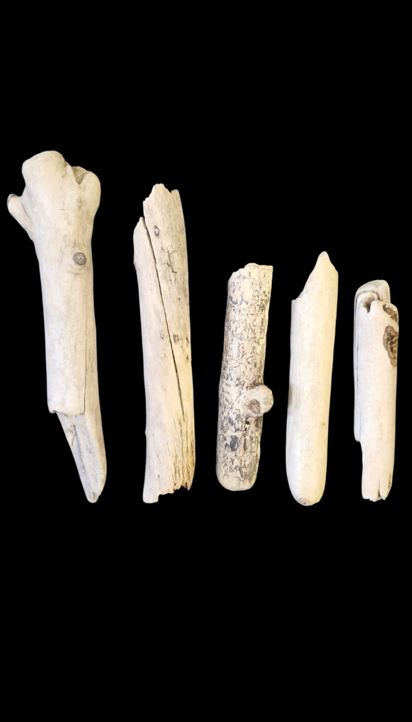 Lot de 5 bois flotté 37 cm à 25.2 cm