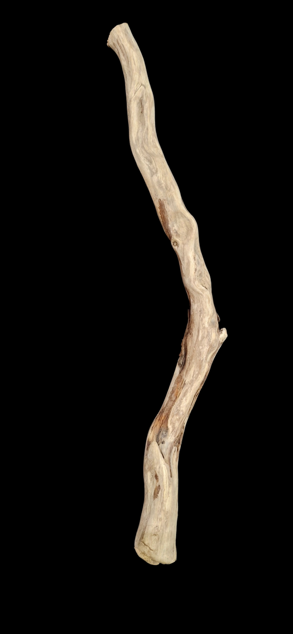Bois flotté 80.4 cm