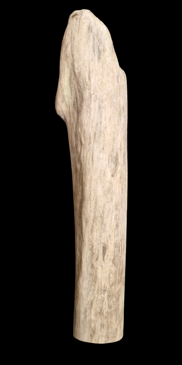 Bois flotté droit 53 cm
