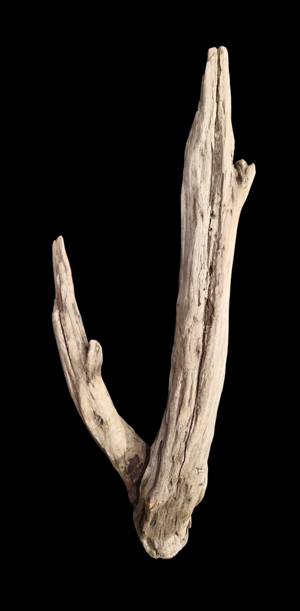 Bois flotté 44.5 cm