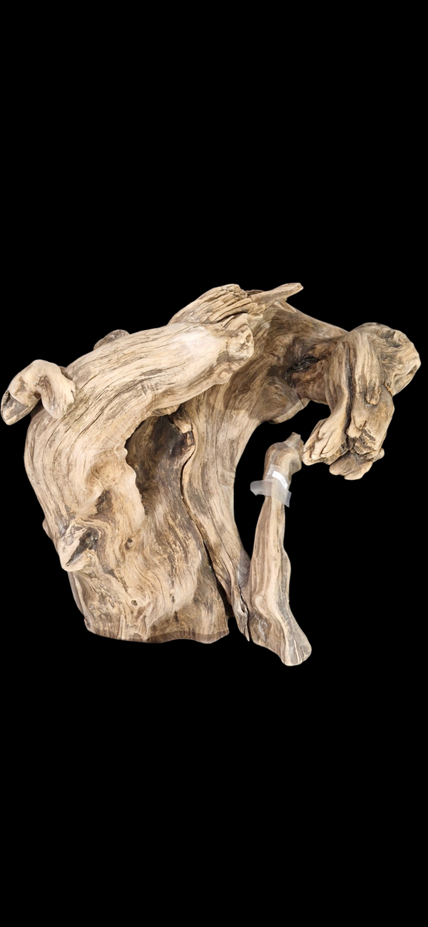 Magnifique bois flotté tiens seul debout 44.8 cm par 48.2 cm