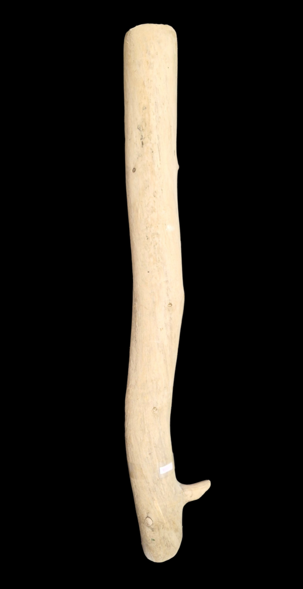 Bois flotté droit 82.7 cm