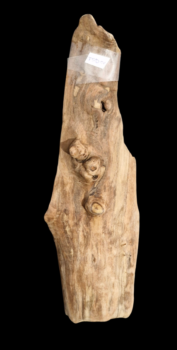 Bois flotté plat 38.4 cm