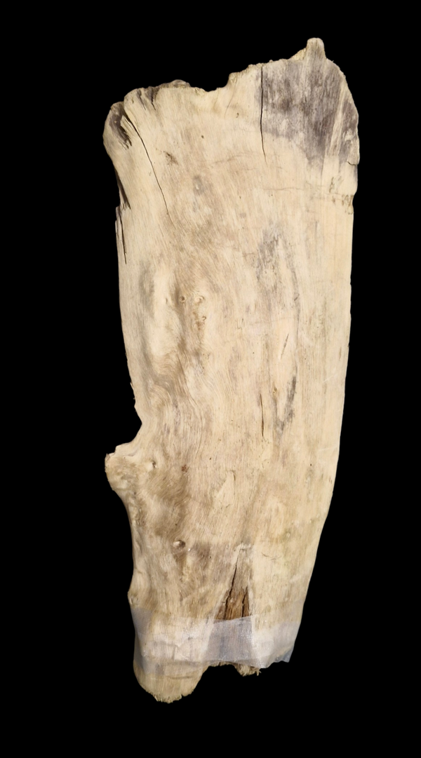 Bois flotté plat 34.2 cm