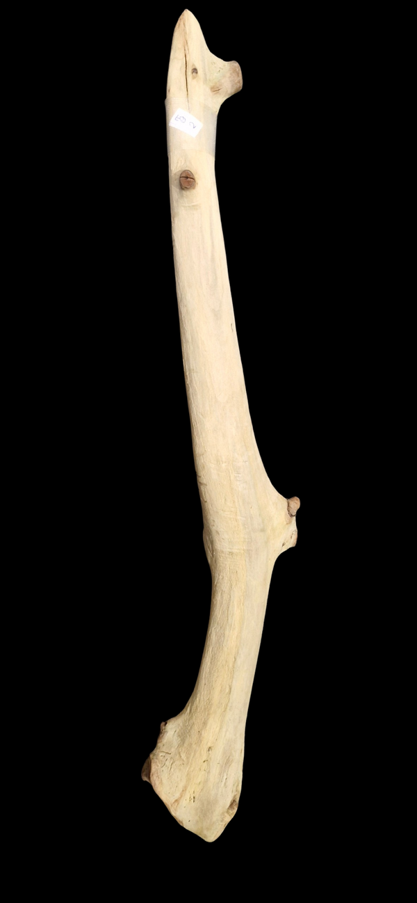 Bois flotté 57.1 cm