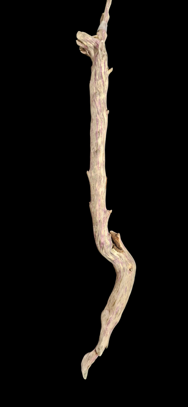 Beau bois flotté 125 cm