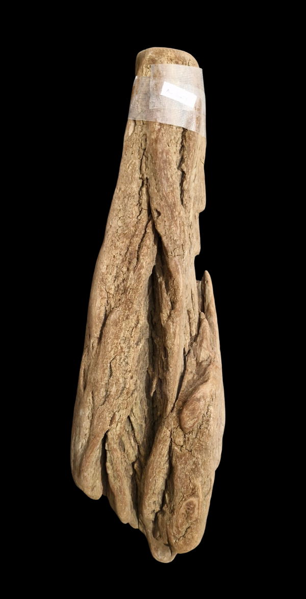 Écorce flotté 38 cm