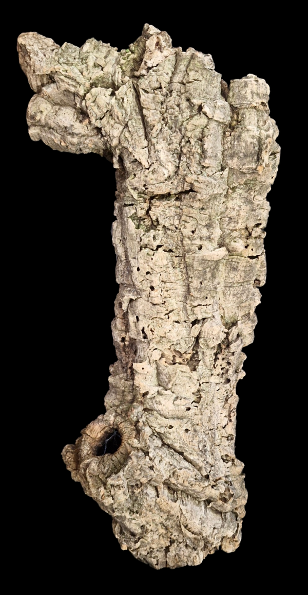 Tube de liège 47.5 cm