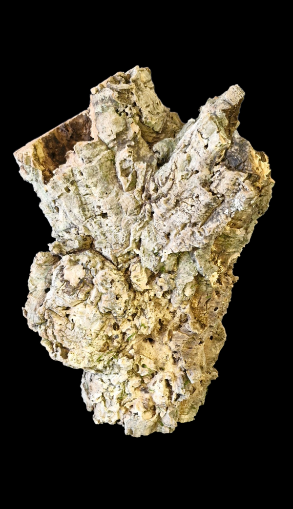 Tube de liège tiens seul debout 47.5 cm 3 entrées