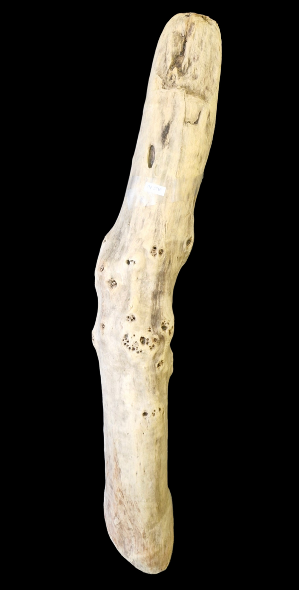 Beau bois flotté droit 74.4 cm