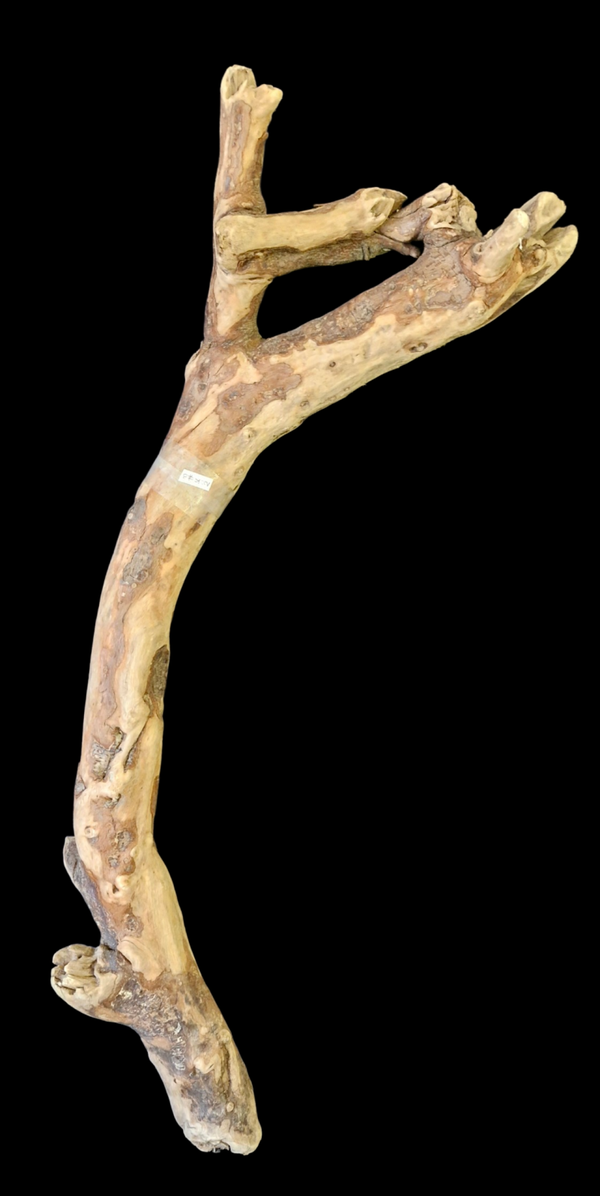 Beau bois flotté 87 cm