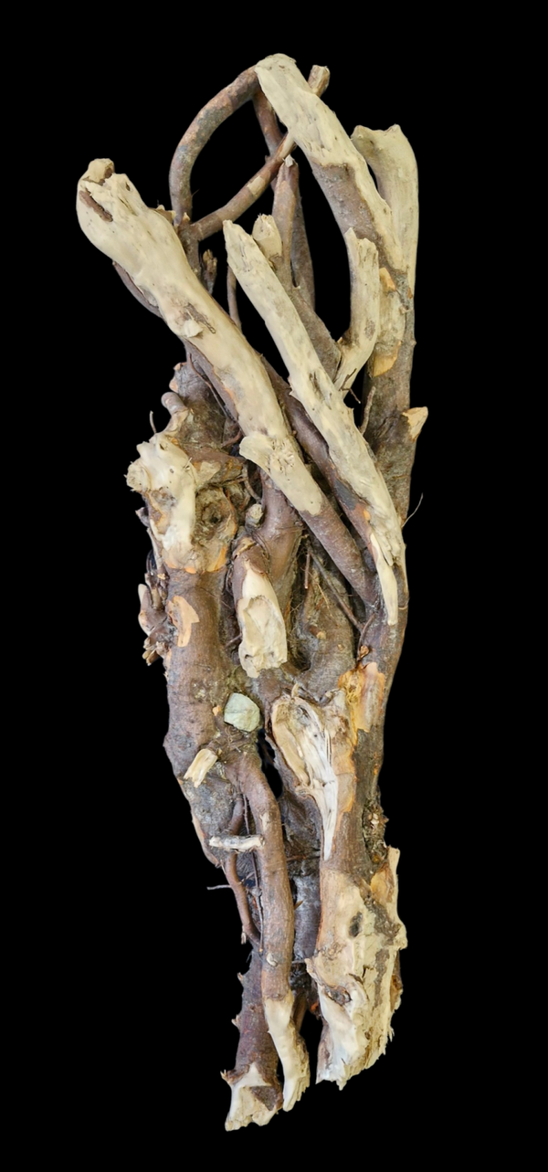 Racines flotté 84 cm