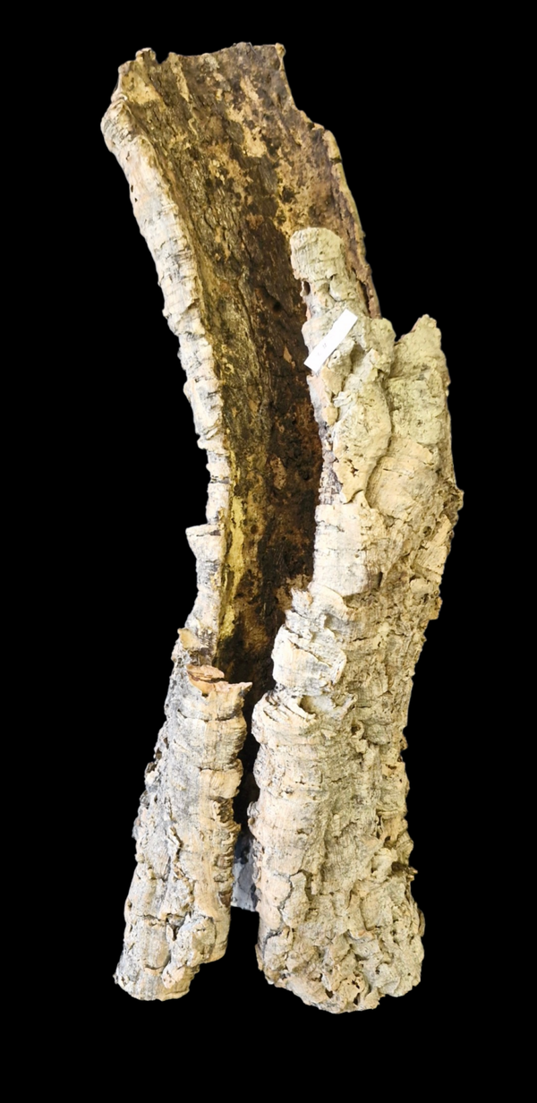 Tube de liège tiens seul debout avec 2 entrées 67.3 cm