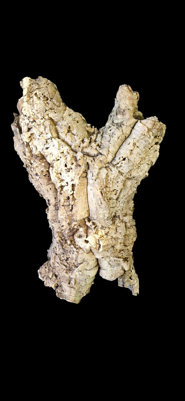 Tube de liège 3 entrées 53.5 cm