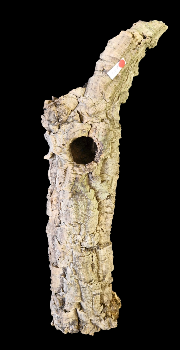 Tube de liège 3 entrées 47.5 cm