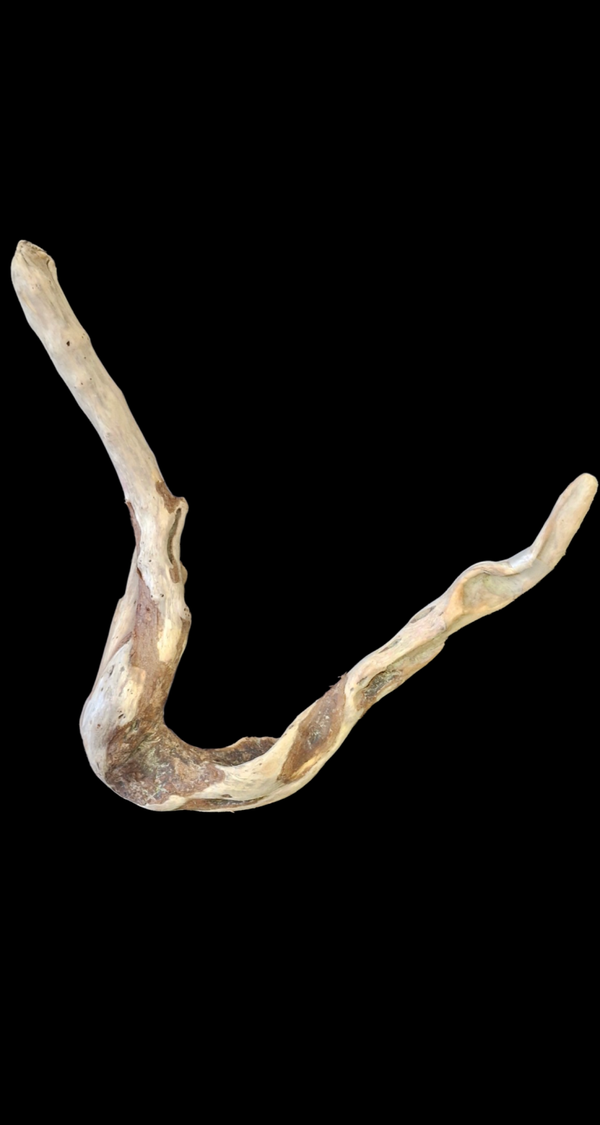 Bois flotté original 67.5 cm