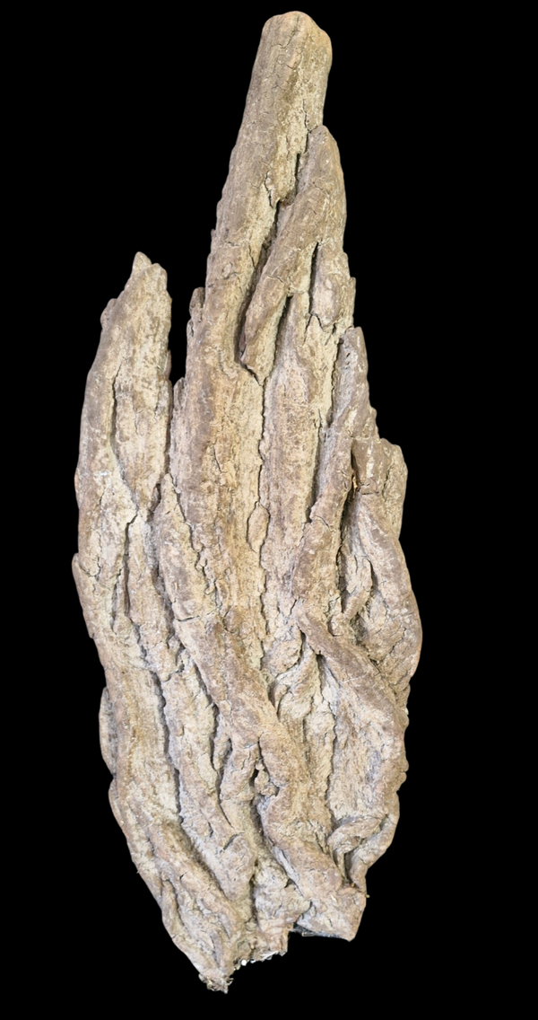 Grande Écorces flotté 86.3 cm