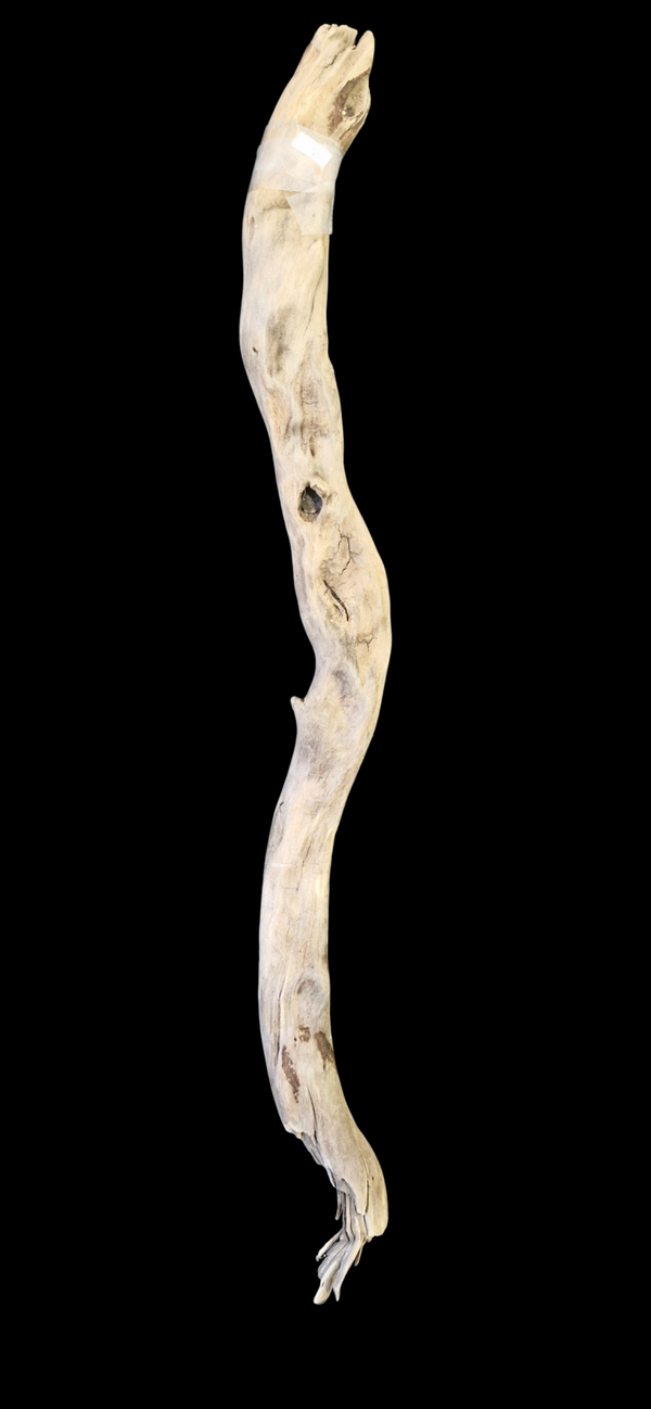 Bois flotté 72.5 cm