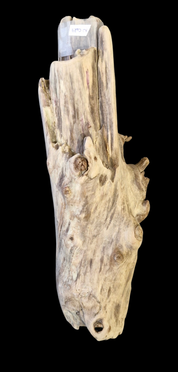 Bois flotté 37.5 cm
