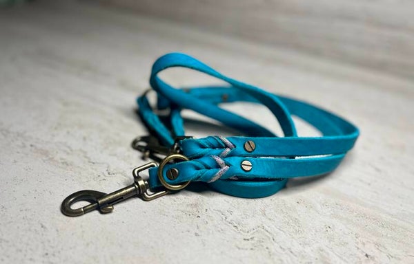 Honden riem Lily shine bright