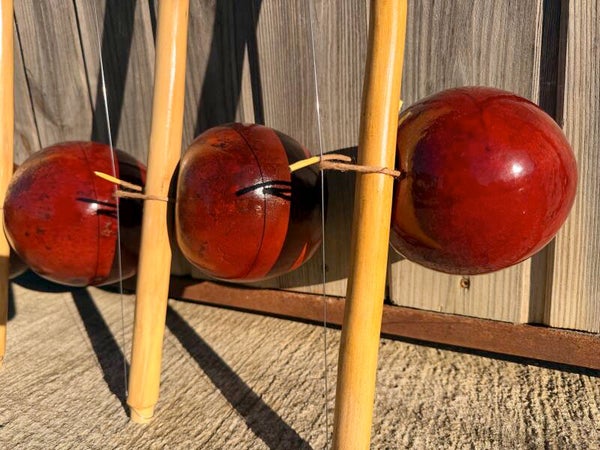 Berimbau de capoeira adulte — Calebasse rouge vernie