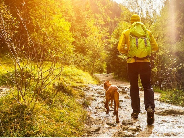 Speuren met 1 hond en 2 begeleiders
