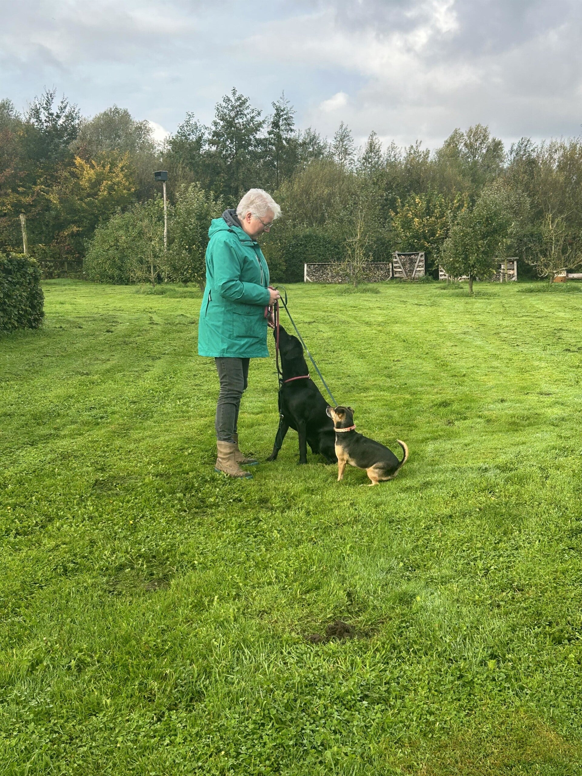 prive training in woudenberg