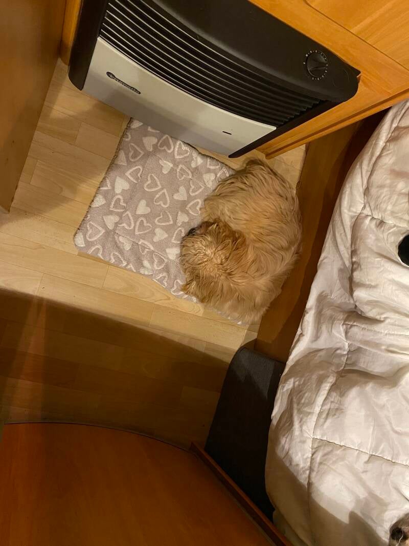 Britt voor de kachel