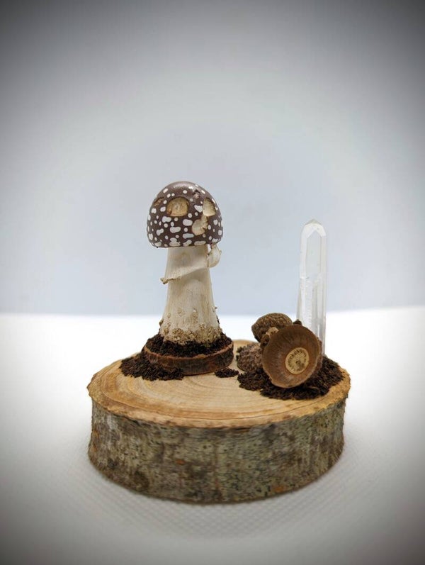2/2 - Ethereal Amanita Regalis Crystal Charging Plaque - Pure Quartz