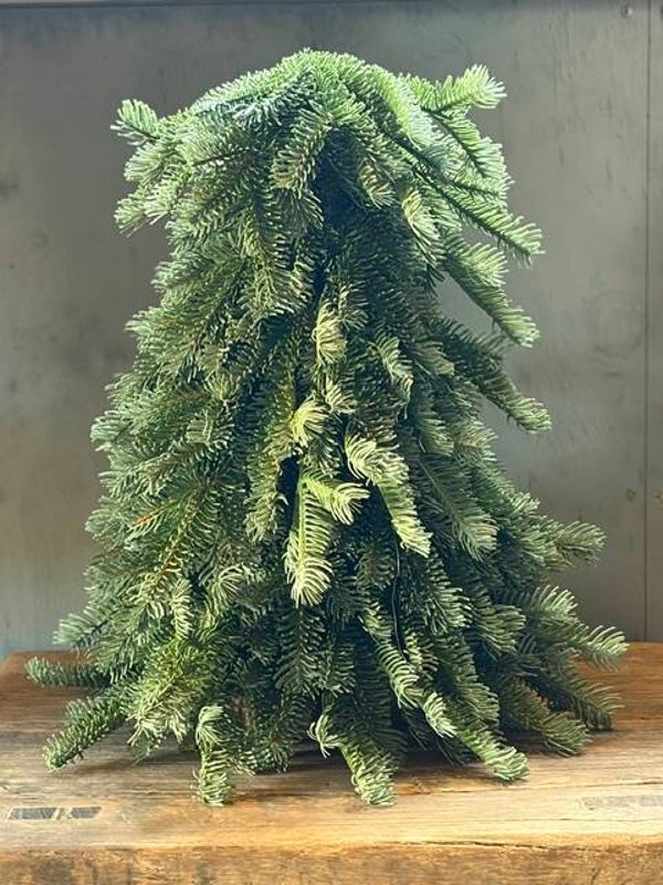 Noblis boom ca. 40 cm. (bijna echt)