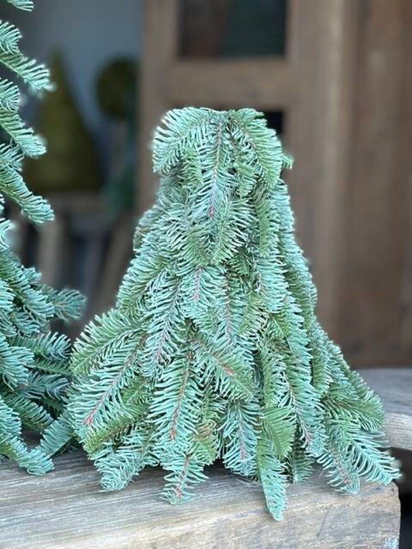 Nobilis boom ca. 30 cm. (bijna echt)
