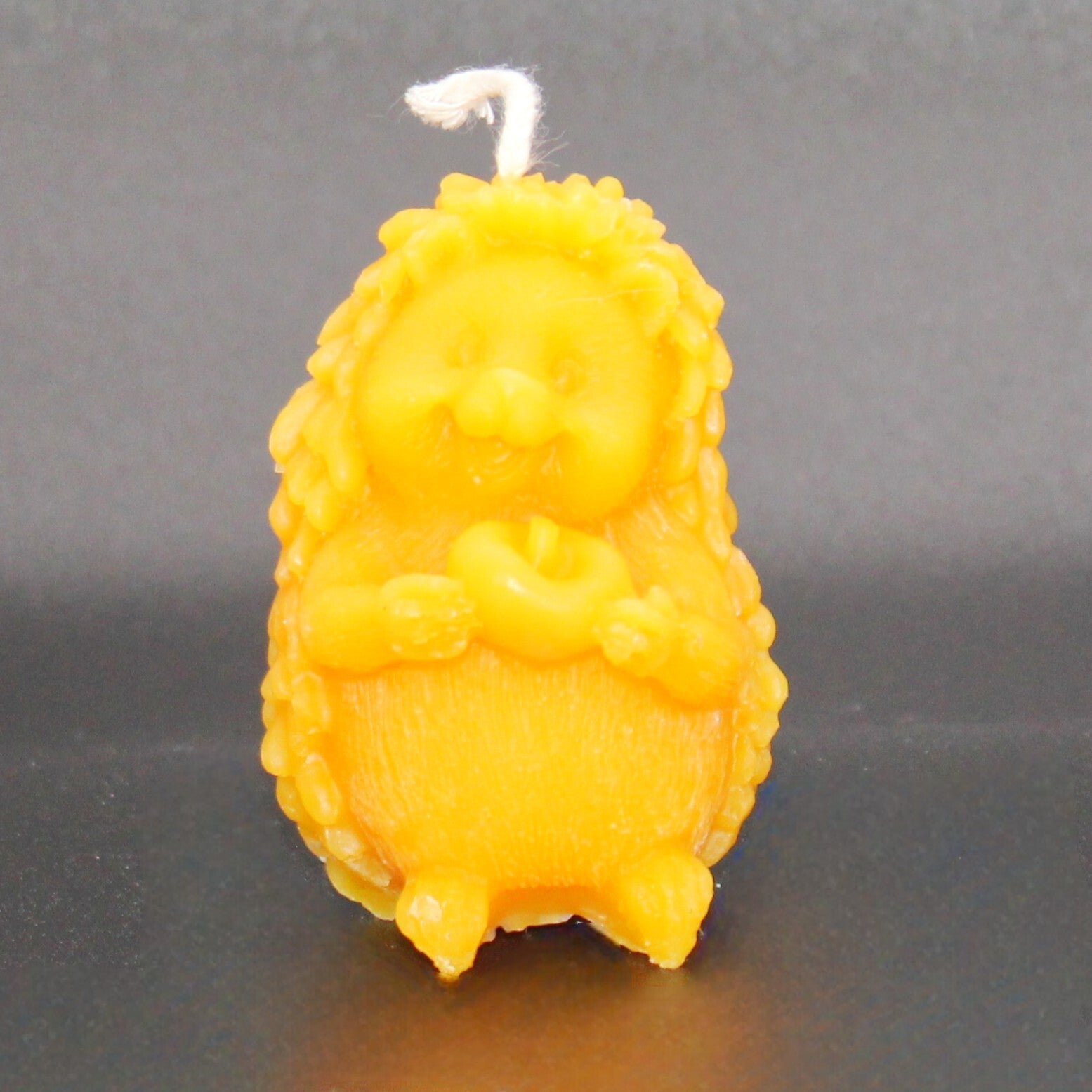 Igel