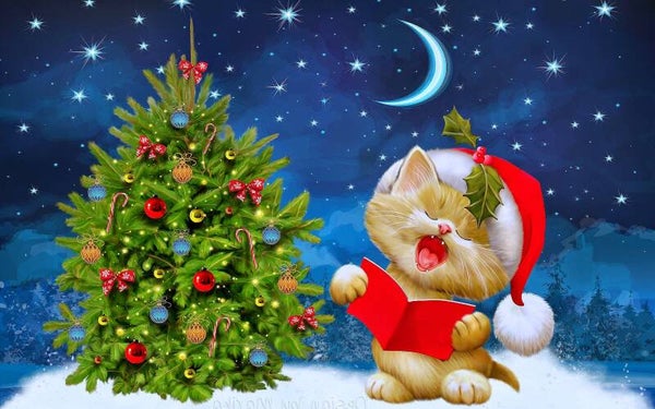 Christmasland kind