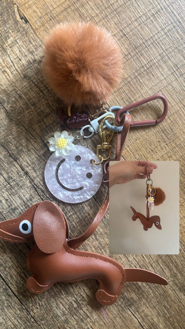 Bagcharm Bruin