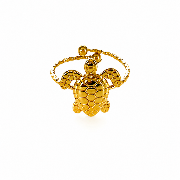 Ring turtle