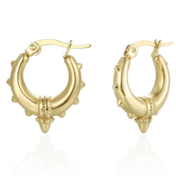 Oorbellen spicky hoops