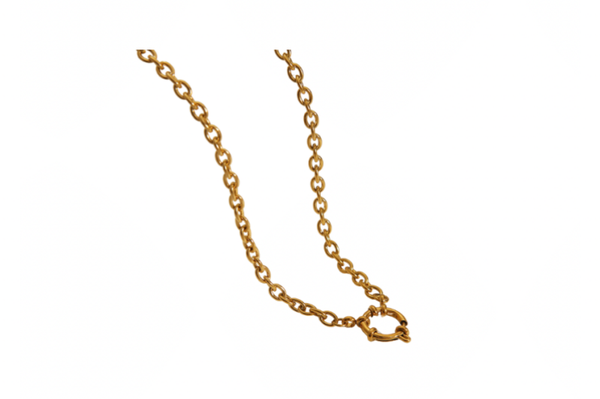 Ketting boei grote schakel goud