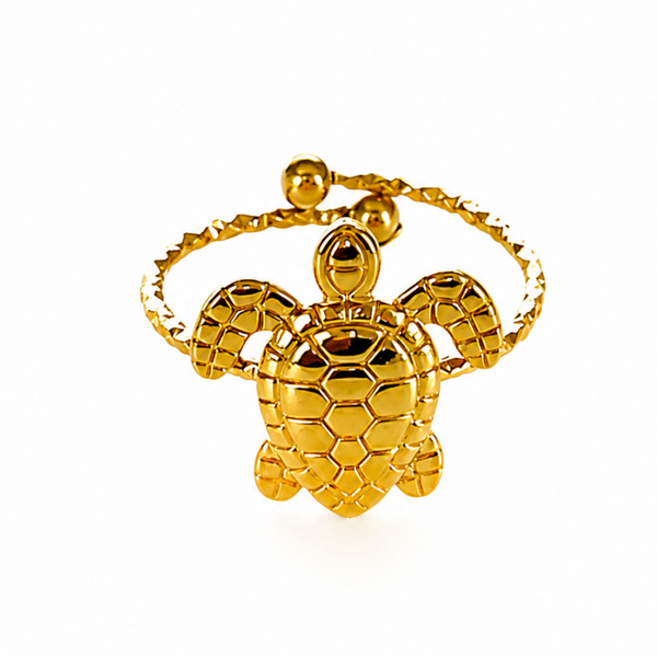 Ring turtle
