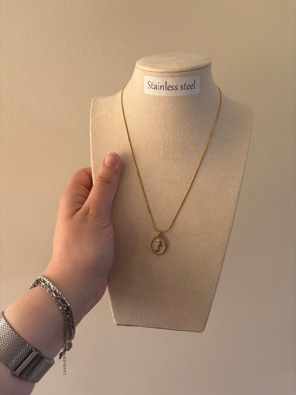 Ketting zeepaardje