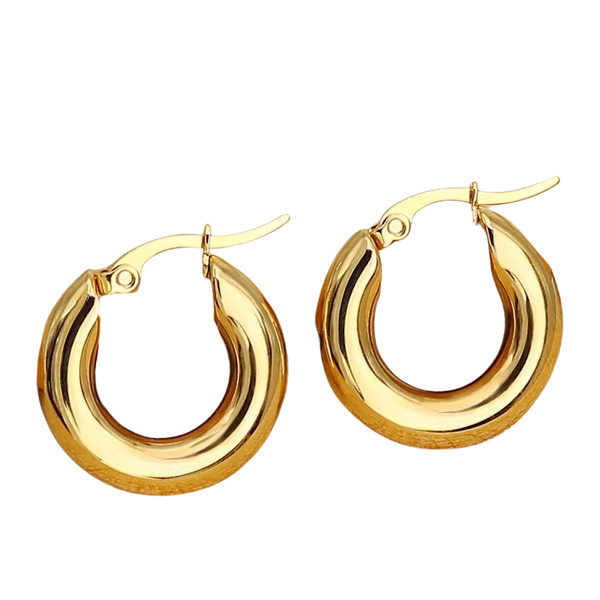 Oorbellen hoops