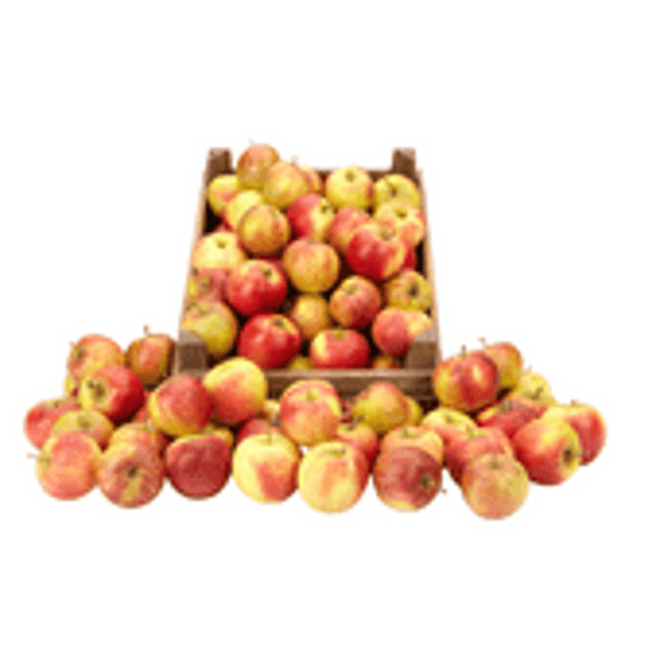 appel, elstar,  kilo